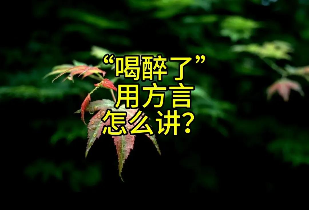 “喝醉了”

——用方言怎么讲？
广西柳州话——“喝蒙了”
您老家方言如何说？