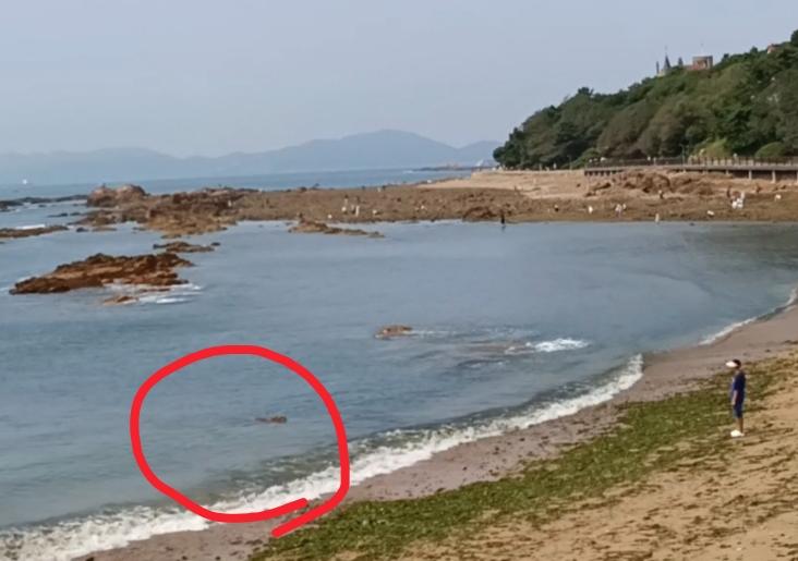 今天青岛海边的游人终于不再熙熙攘攘了。

    在地铁3号线太平角站下车，径直