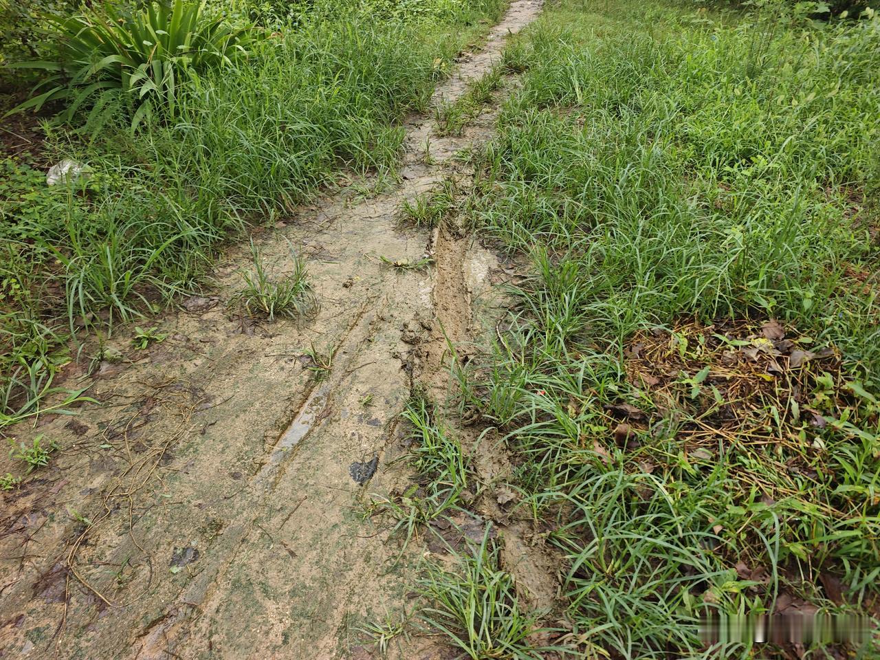 每次回到农村老家的时候，受不了的一个是道路，村里边的道路很多地方还走着泥泞的土路