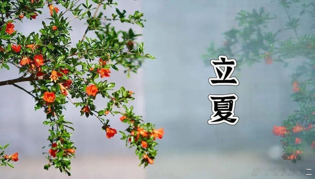 立夏——2026年5月5日，农历三月十九，正式进入夏。 