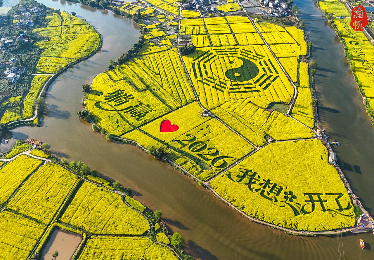 可惜你不是重庆人，3万亩油菜花海免费欣赏，美到失语
重庆的春天真的从潼南开始了！