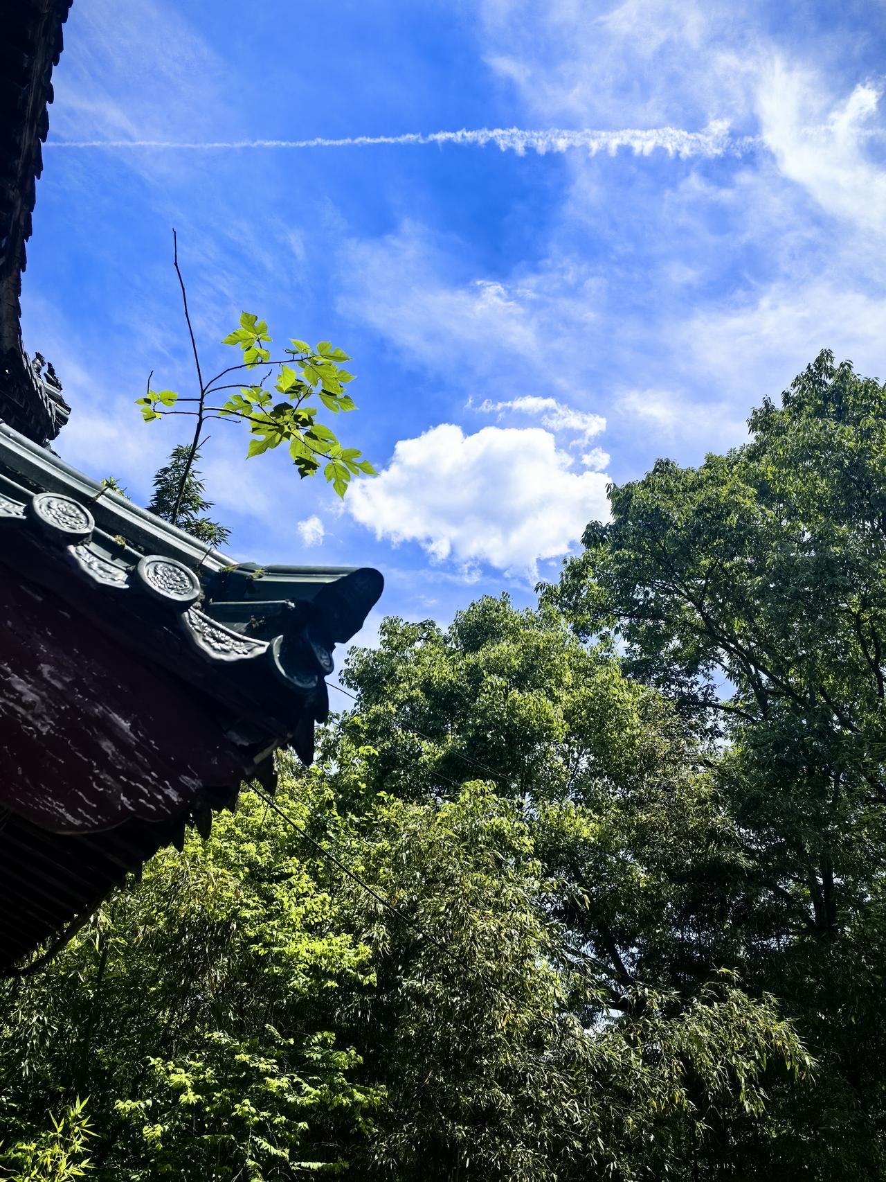 真心话茶局五一假期刚过，就迎来了大风暴雨，前一秒还是夏天短袖阳光明媚温度正好，下