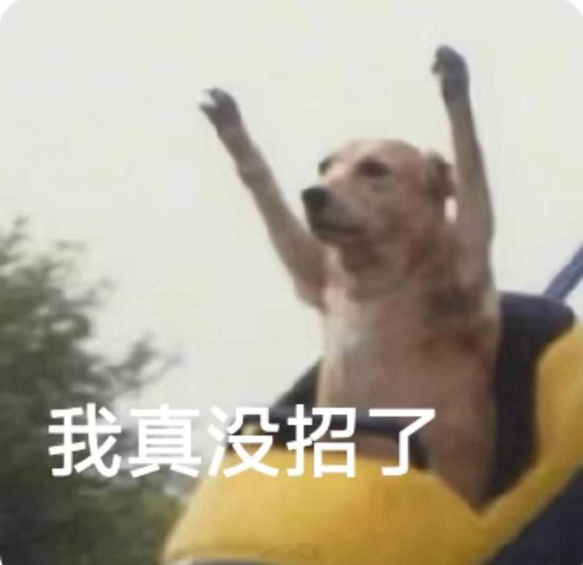 为什么现在网红衣服店卖的衣服好多都是山寨国外的…价格都是大几百上千，话里话外也都