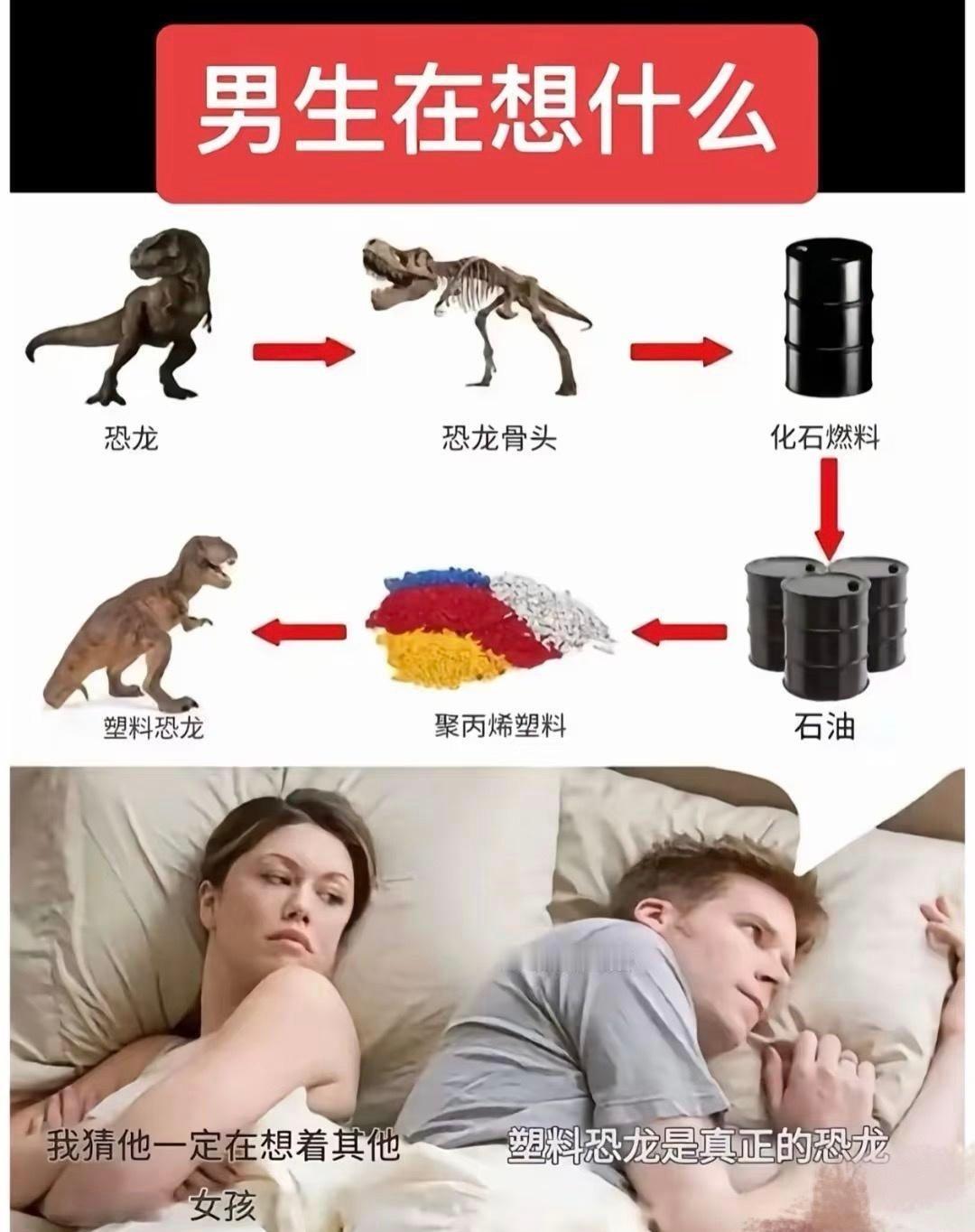 一大早看到这个图～[666][666][666]嗯嗯，塑料恐龙是真的恐龙～ ​​