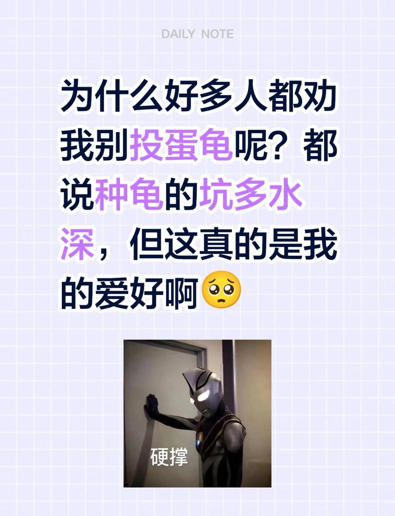 为什么好多人都劝我别投蛋龟呢？都说种龟的坑多水深，但这真的是我的爱好啊🥺养龟日