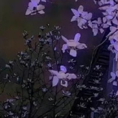 0000不必因当下困顿否定前路，那些熬夜熬过的难、咬牙扛住的委屈，终会铺成向上的