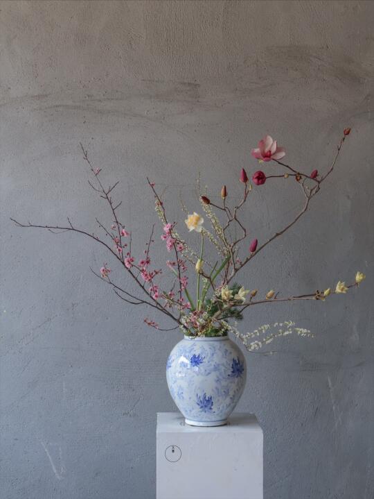 春天实在太幸福 各种木本花材自由