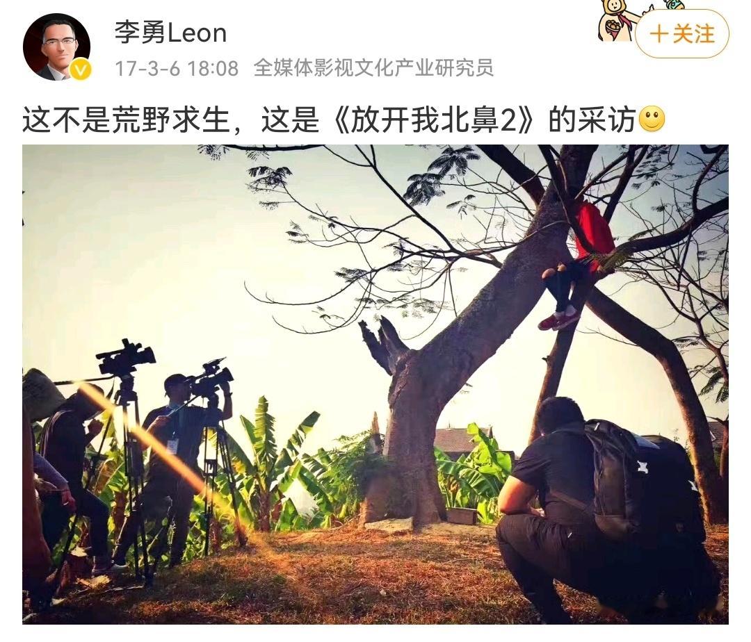 还是那个爱爬树的四四。易烊千玺AnotherMan周年刊封面