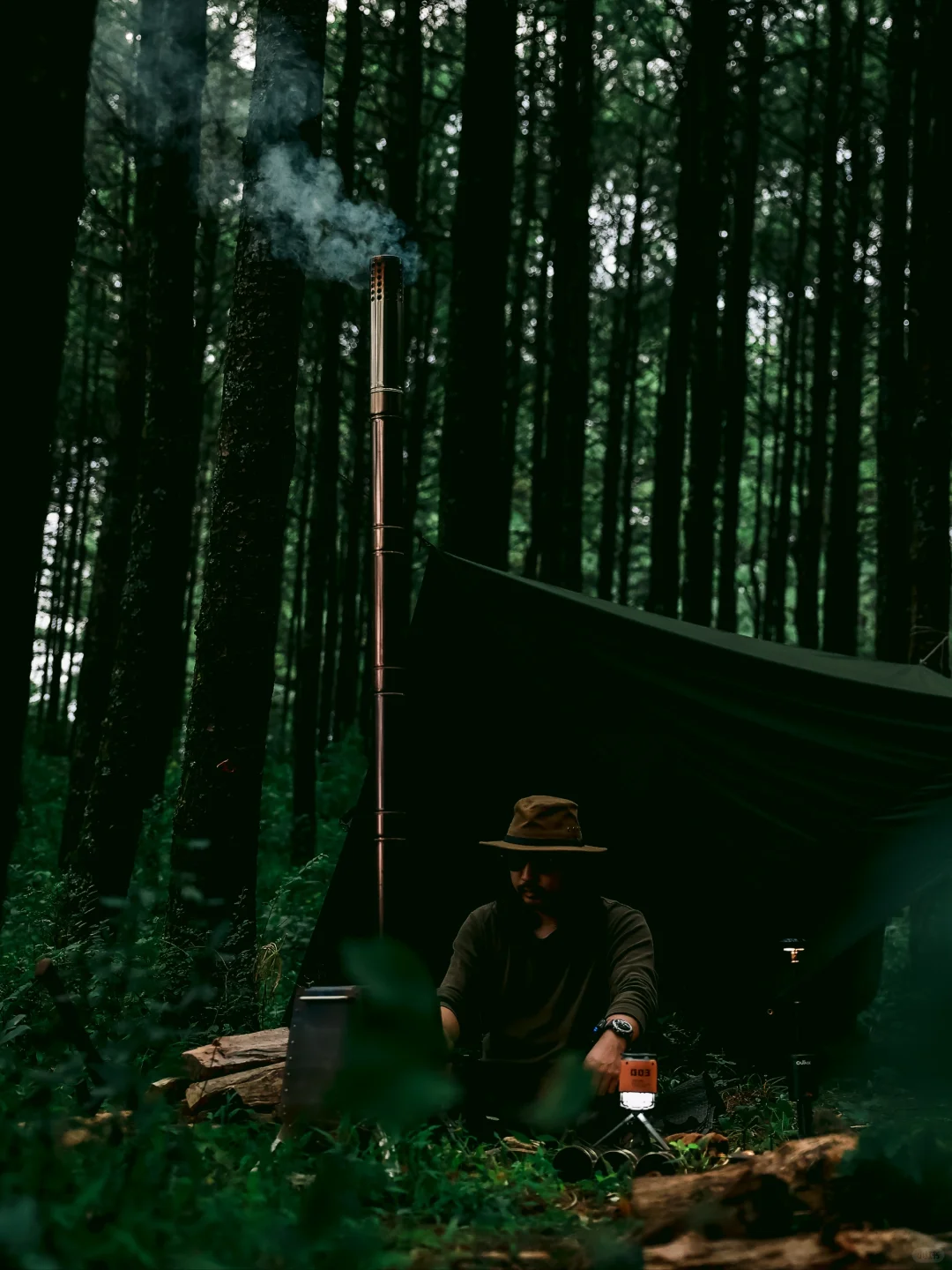 秋日露营/寻找现实版“暮光森林”🌲