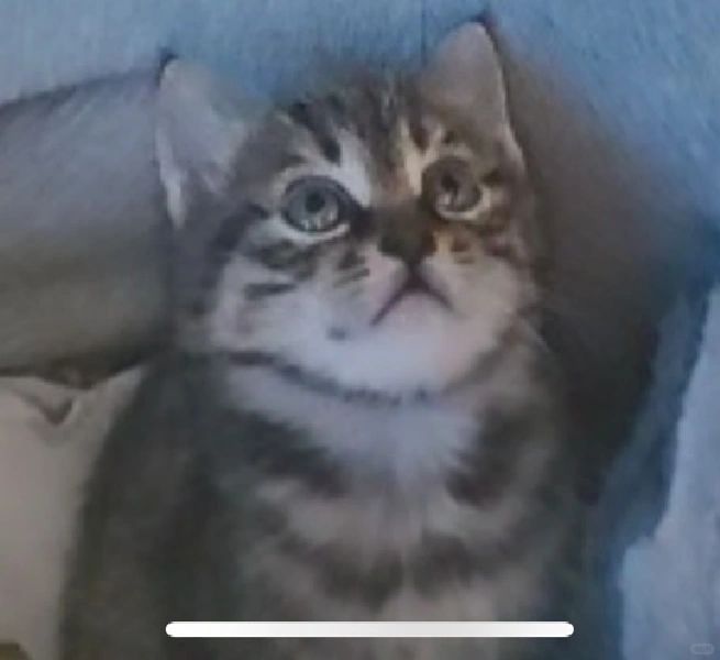 受朋友们的照顾，我又快乐度过了一岁～