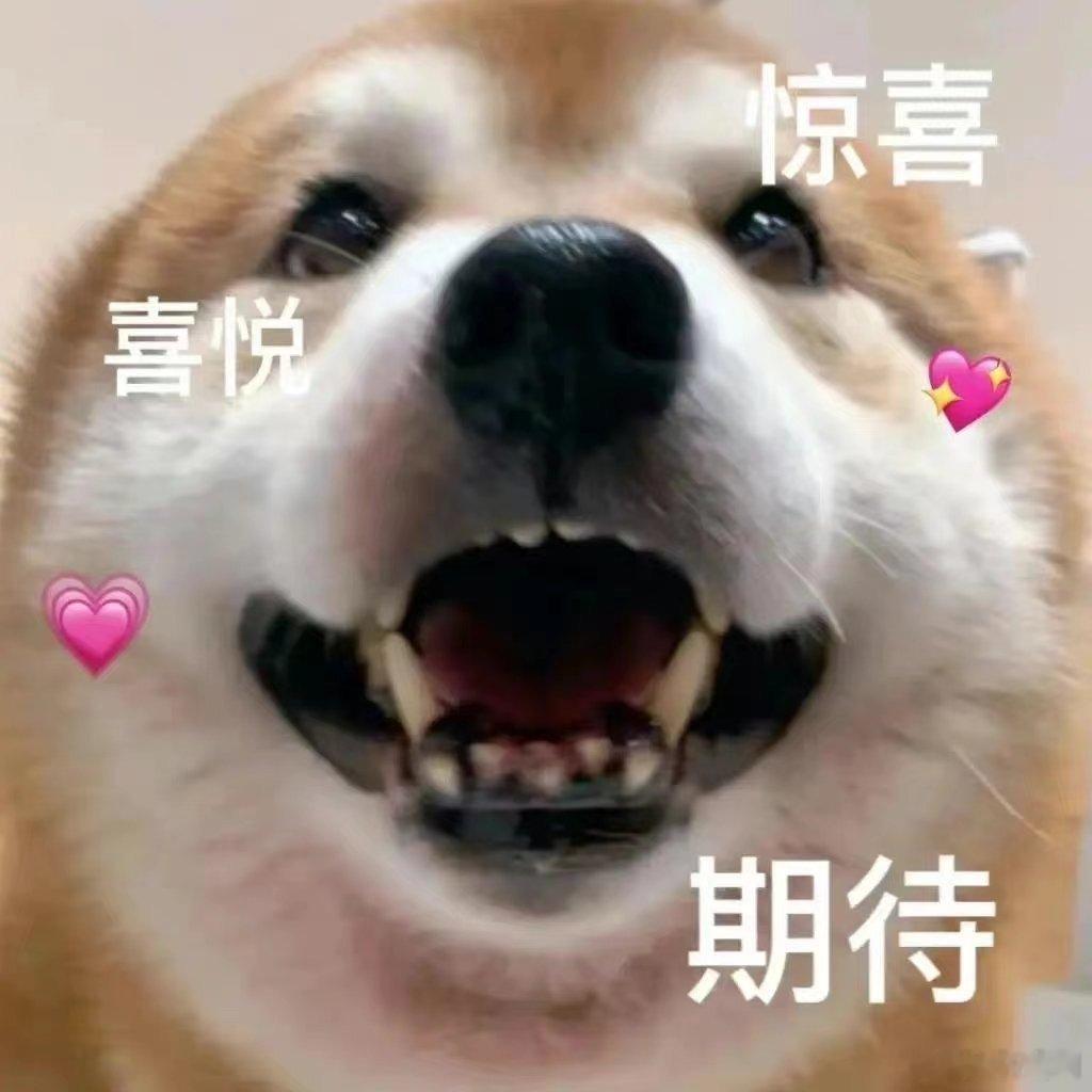 #中国快递小哥参赛亲测巴黎不需空调#栾玉帅快递小哥的巴黎见闻，让我对那里的夏天有