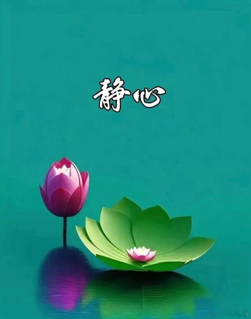 【借一抹“静心”，揽尽花叶清欢。 莲开静水影悠然，翠叶藏香意自安。 案上幽兰添雅