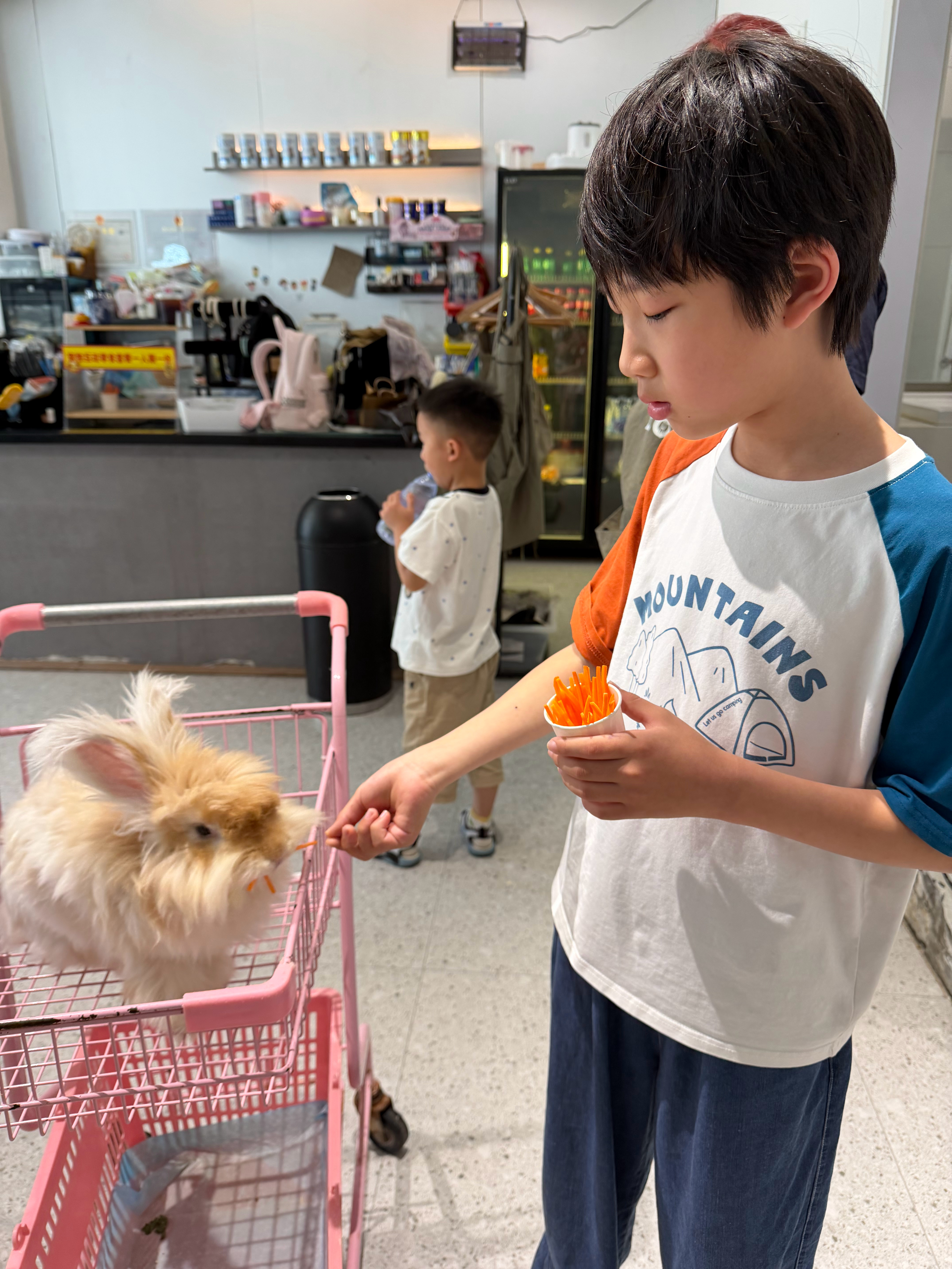 撸完宠逛逛街，吃个晚饭再回酒店。 