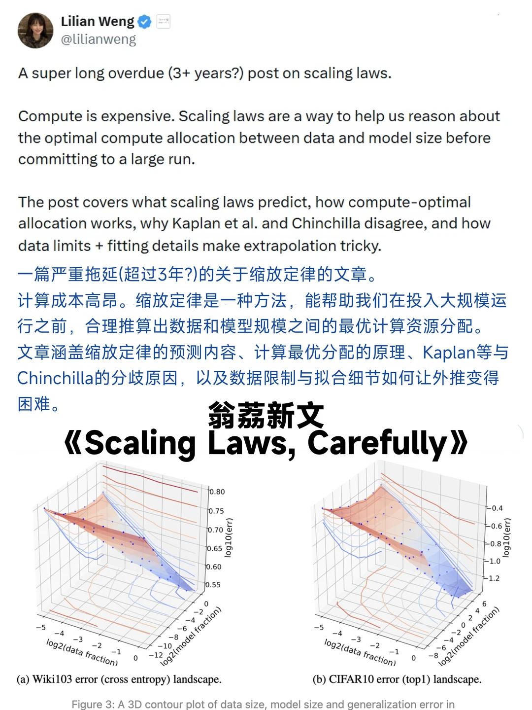 翁荔最新博客文章：谨慎对待Scaling Law