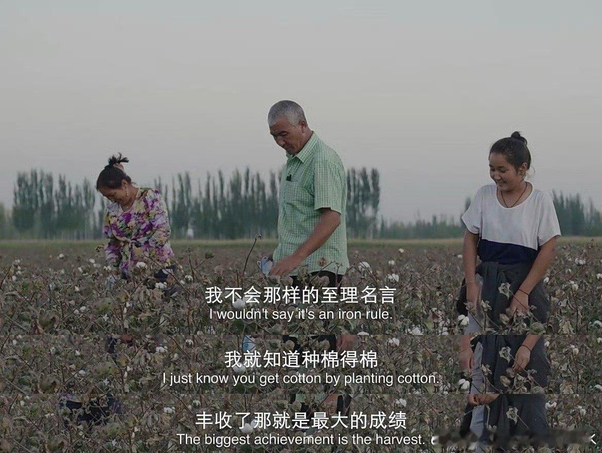 这片土地长出了最美的云朵地上的云朵真的拍的太真实了啊，它记录了新疆人棉农三餐四季