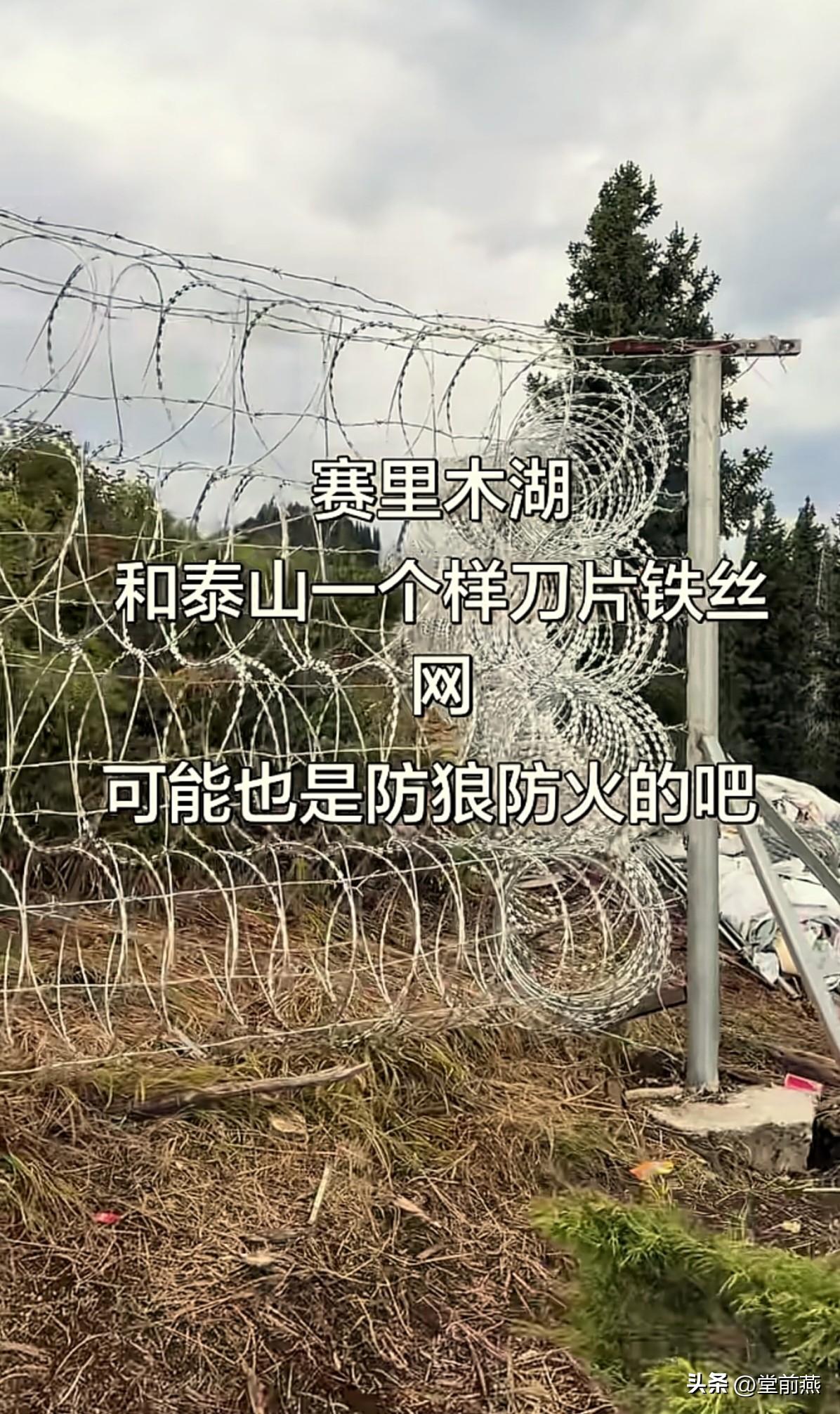 刀片铁丝网重新出现旅游江湖。
赛里木湖景区和泰山一个样，被刀片铁丝网围个严实，比