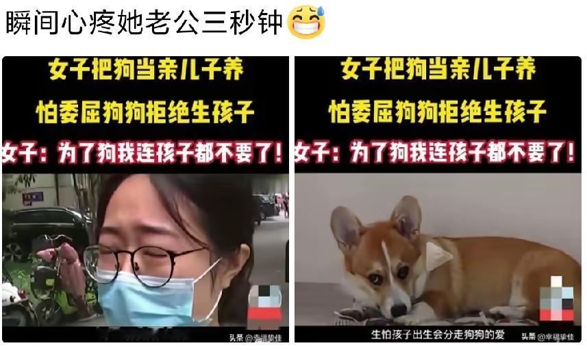 养宠物没错，
动物有灵性也没错。
但是它始终是动物，而人不一样。
我见过有些人养