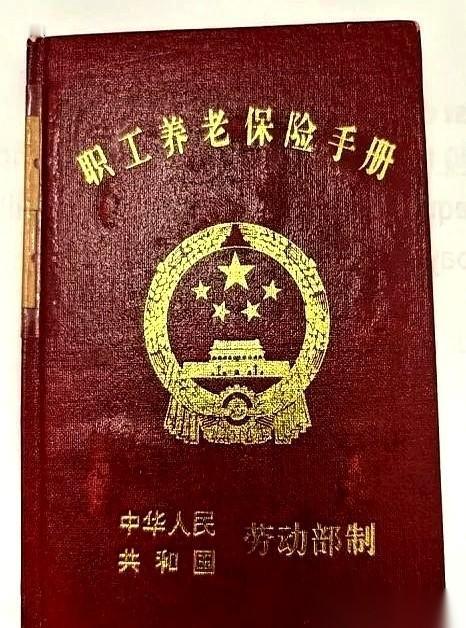 刺啦——
办事员连眼皮都没抬，顺手就把那本小册子撕成两半，精准地抛进了脚边的垃圾