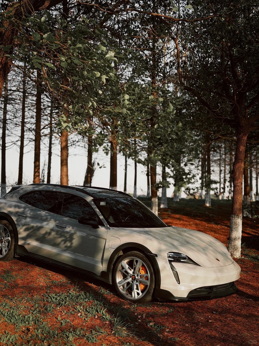 早上好，走吗？明天去露营吗？绝美车片