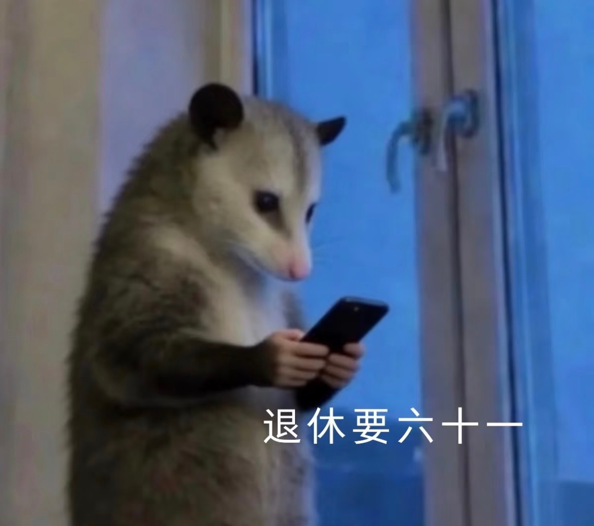 过期小孩儿～也要过六一儿童节！！！！ 