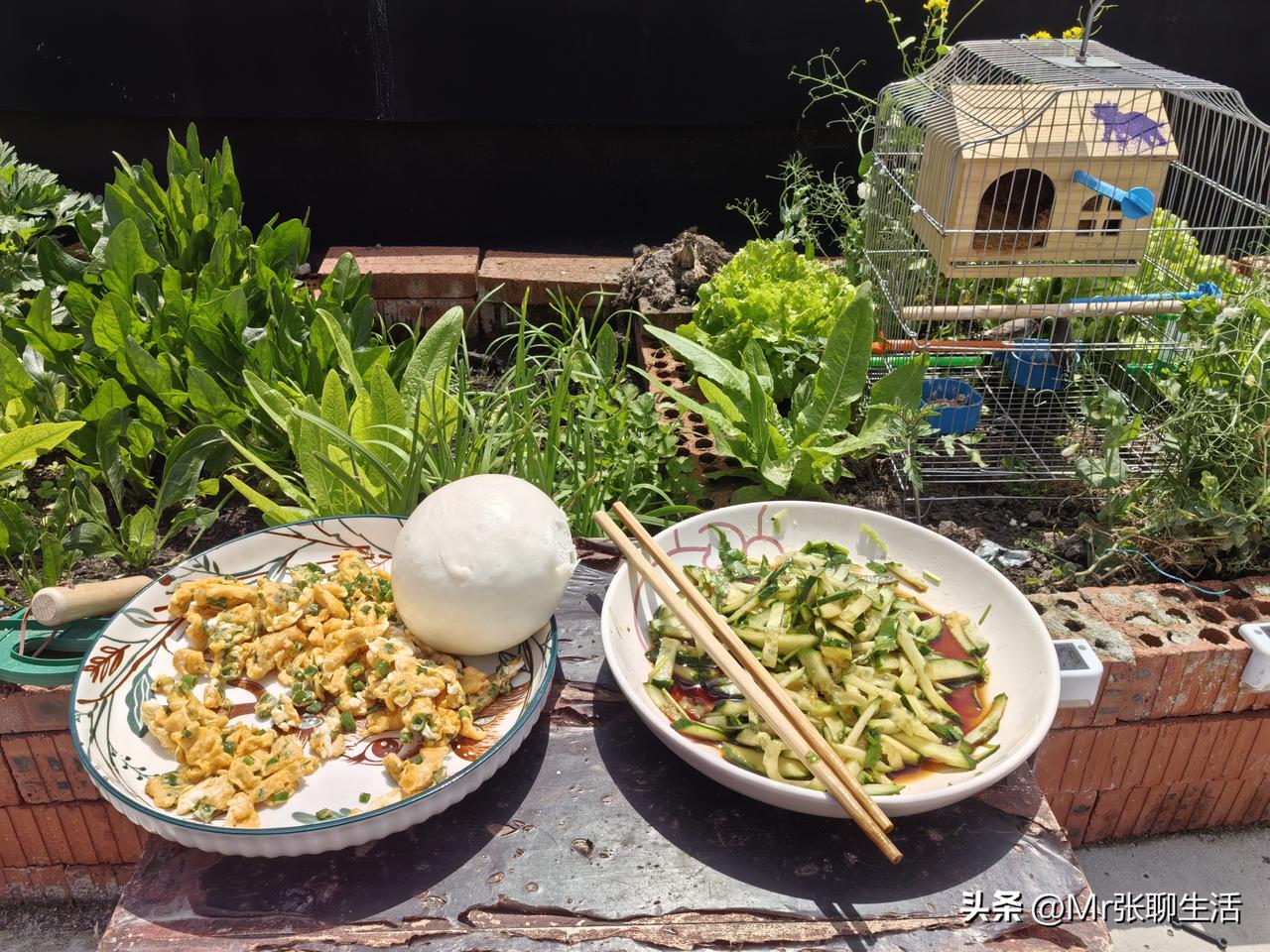 小长假，哪里都是人，人挤人没意思，
一个人静静的在家，
偷得浮生半日闲，趁春未尽