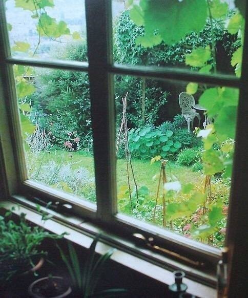 峰润雨绿窗罅入，花白香淡瓶水映。 ​​​