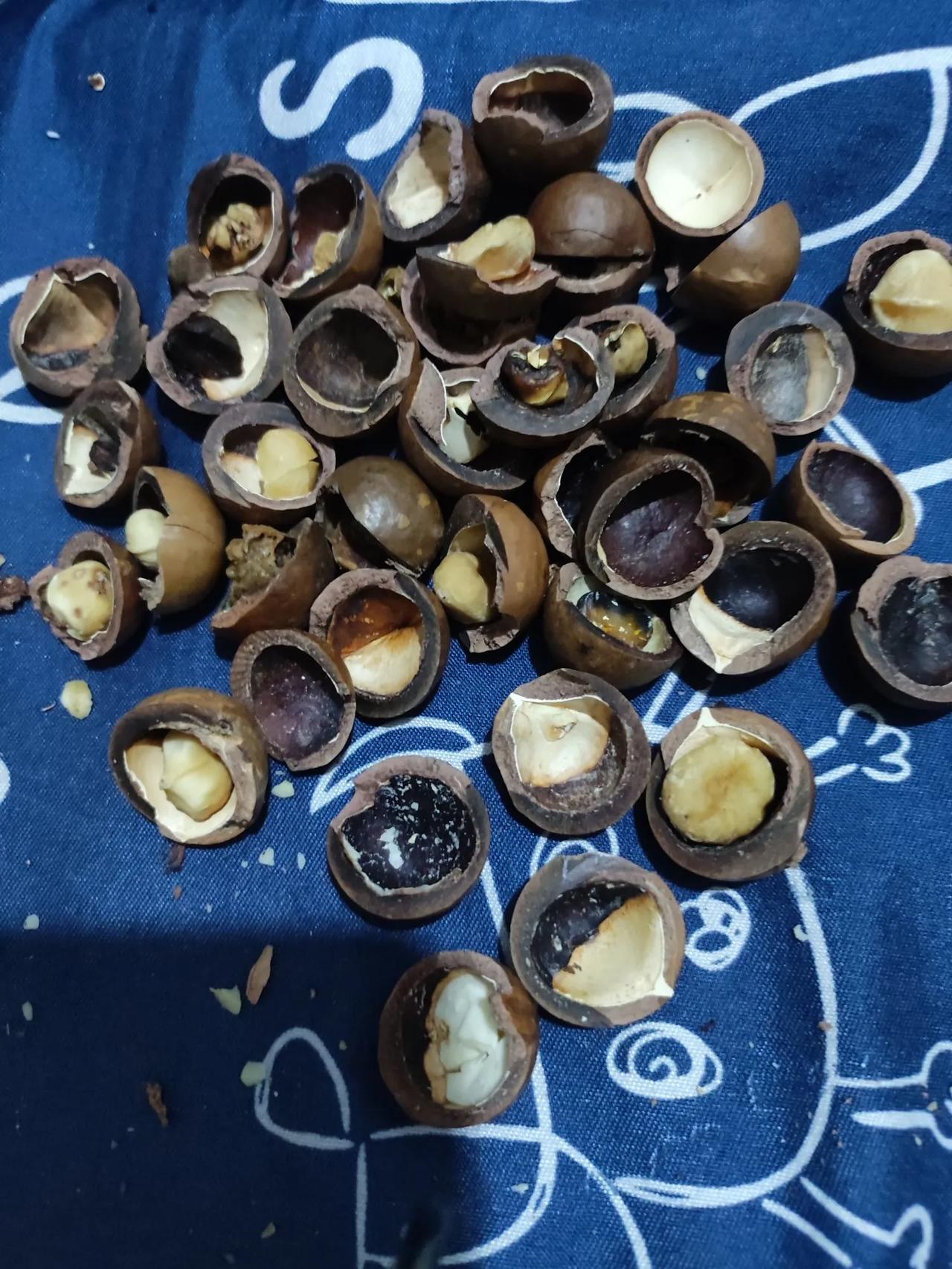 买一点夏威夷果，结果烂果子好多呀，退了仅退款