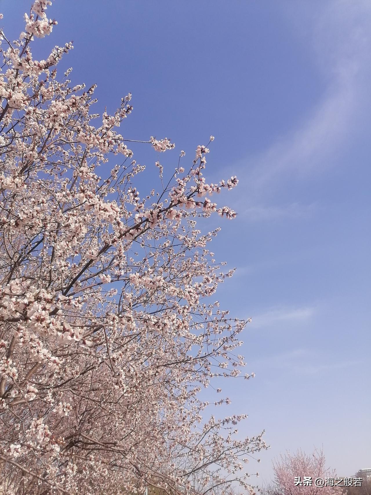 可现在观念变了，父母不催婚，也催不动，不催生，还是催不动。什么传宗接代，不孝有三