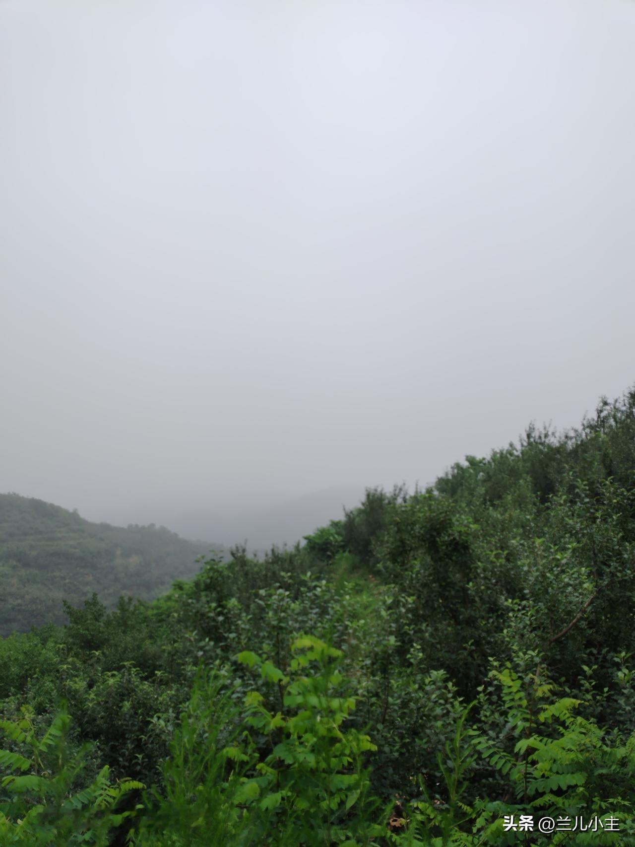 最近天气不好，动不动就下雨，天气预报已经不准了，下雨就是随机的，根本无法预料。