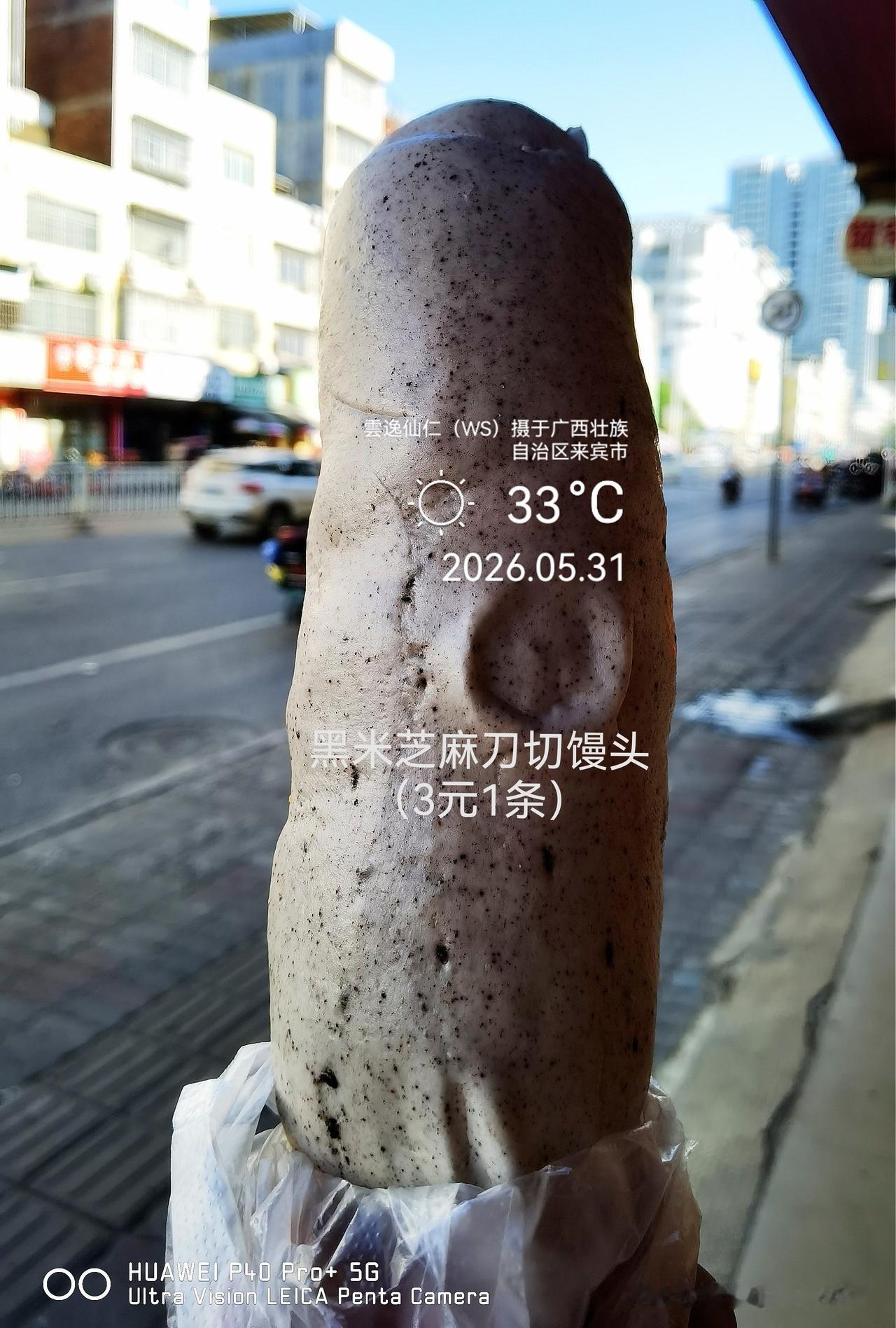 月居生活记录（9829）广西壮族自治区来宾市（55）品尝小吃23：黑米芝麻刀切馒