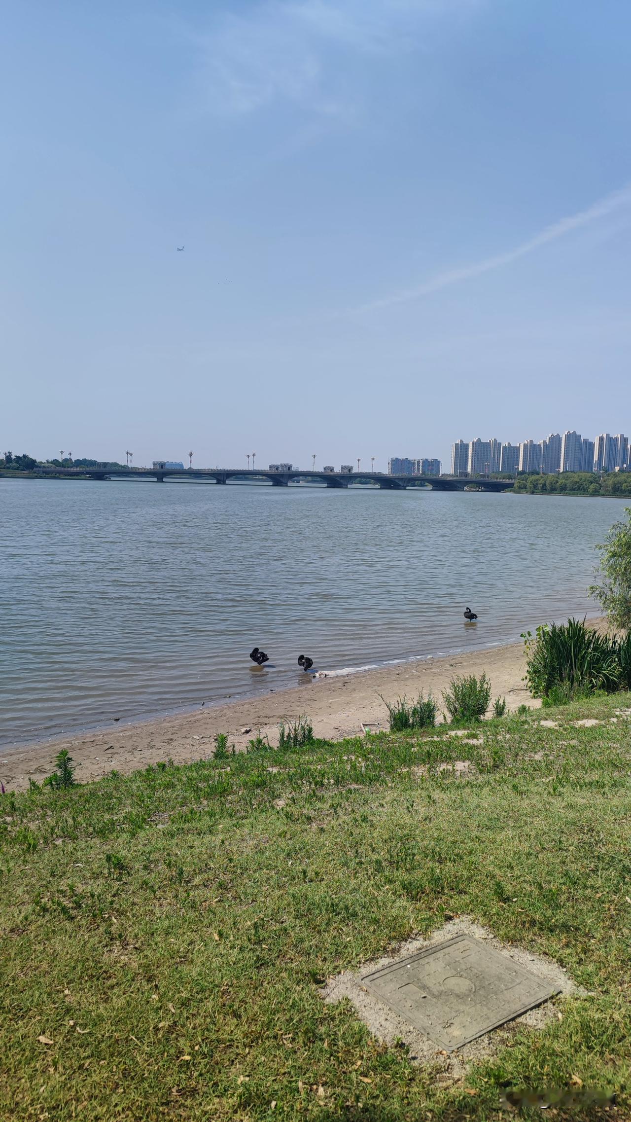 从东京大道沿着开封西湖湖景公园的湖边路步行走到了郑开大道大约一个小时左右的时间，