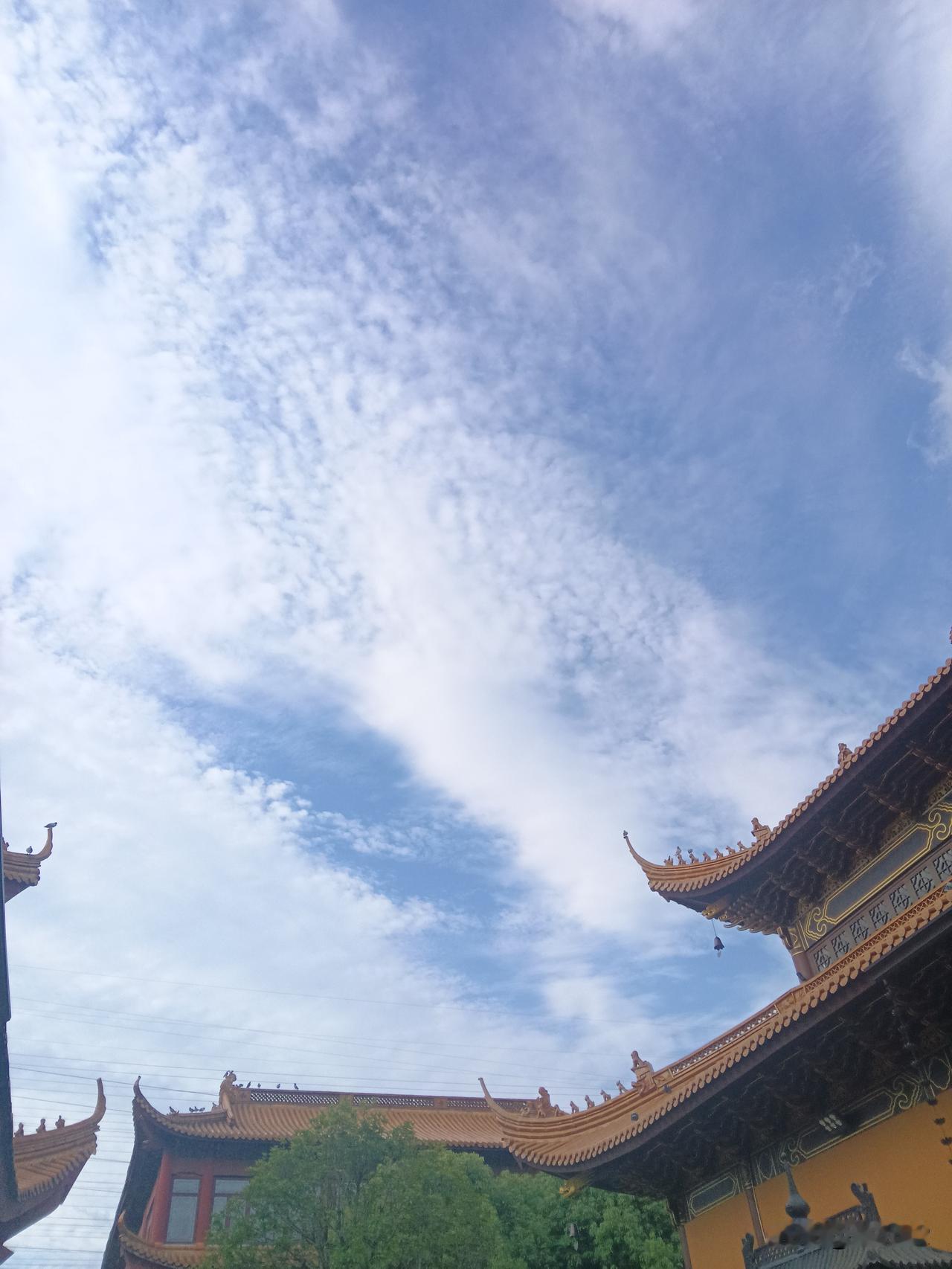 作为一个小作者，我实在想不出如此高端大气的标题。留意到它，是因为它一直在搜索框里