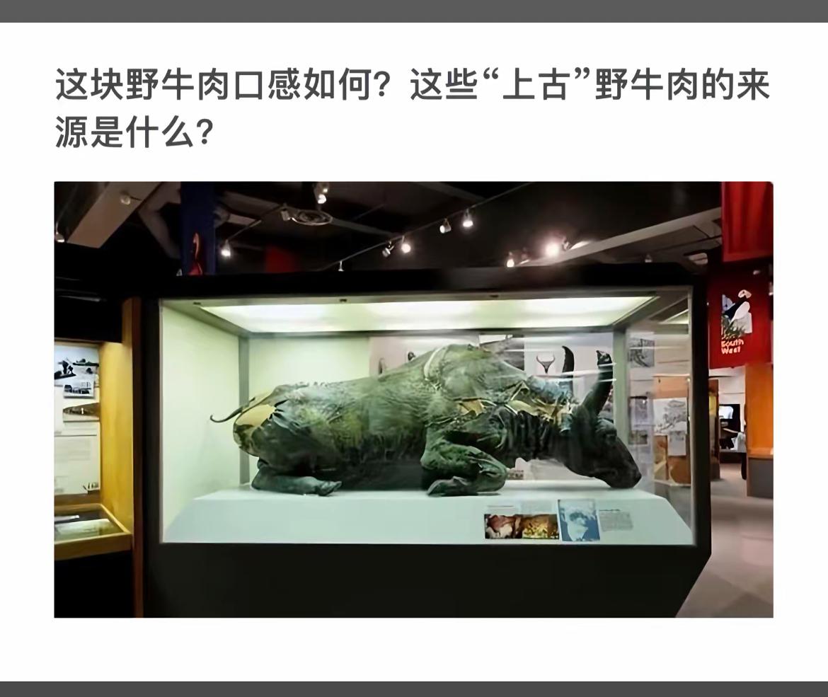 探秘上古野牛肉，感受原始美味！