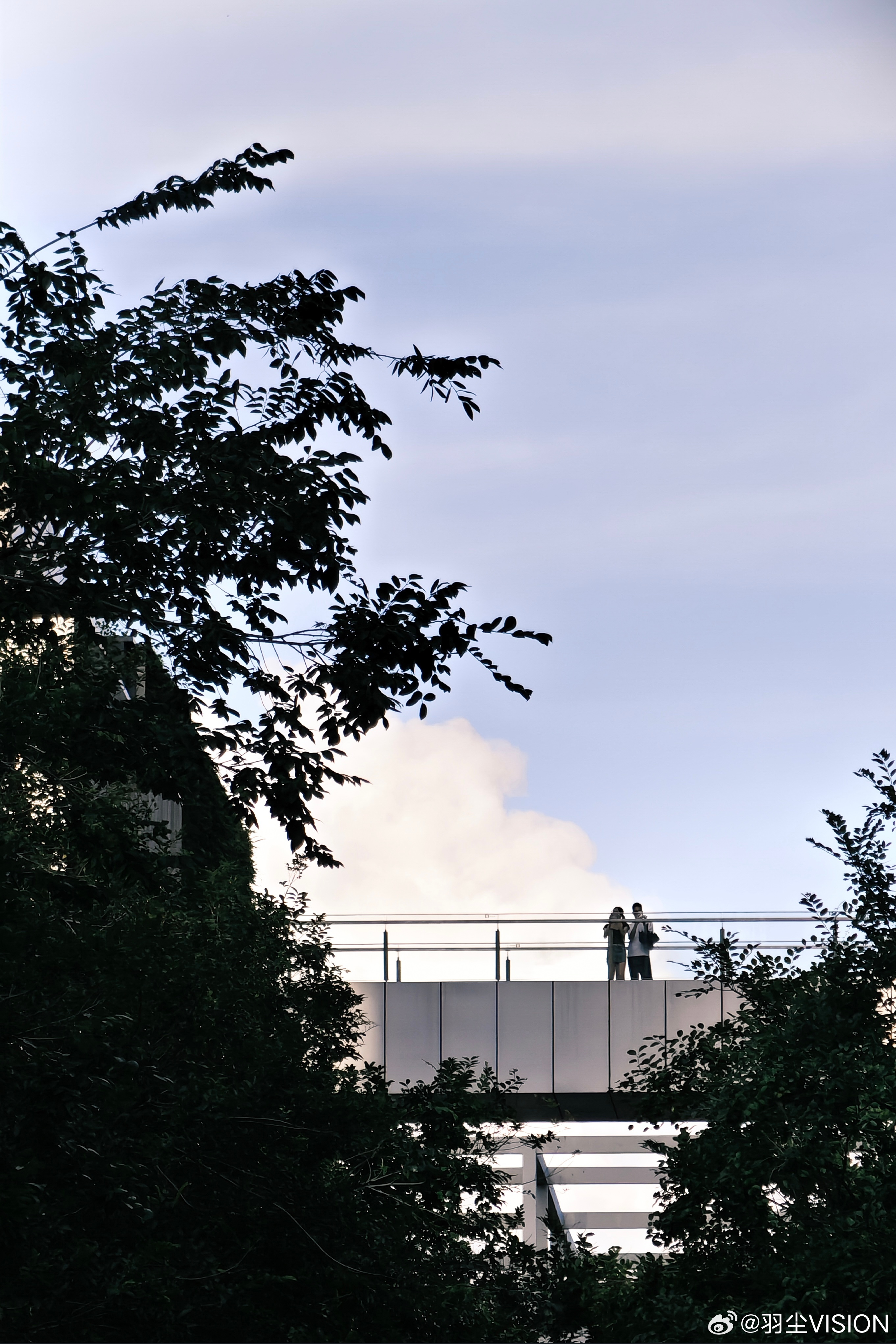 带有一点点富士胶片味的随手拍📷某不是特别神秘的手机💻Lightroom Cl