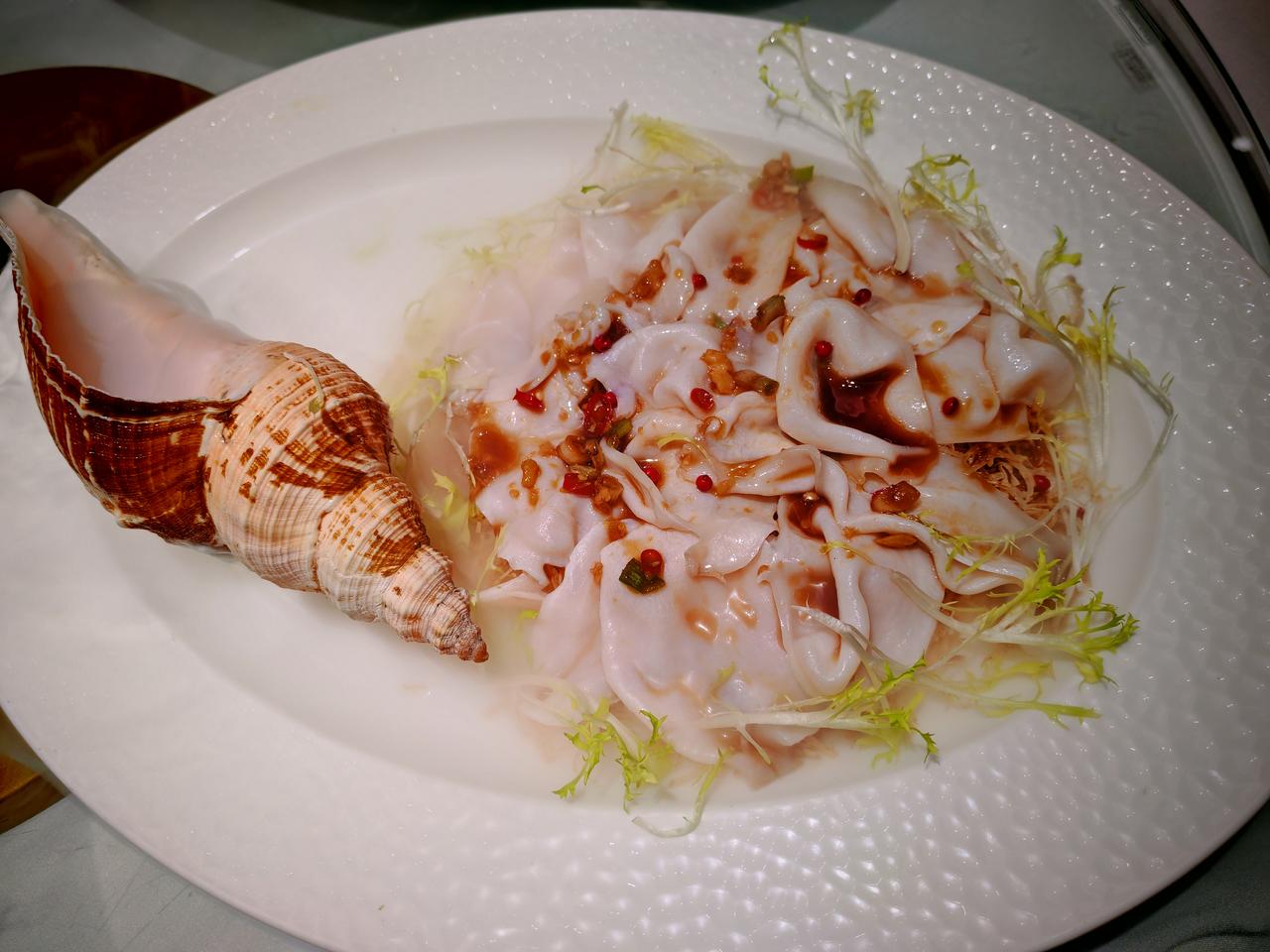 天南地北大拜年