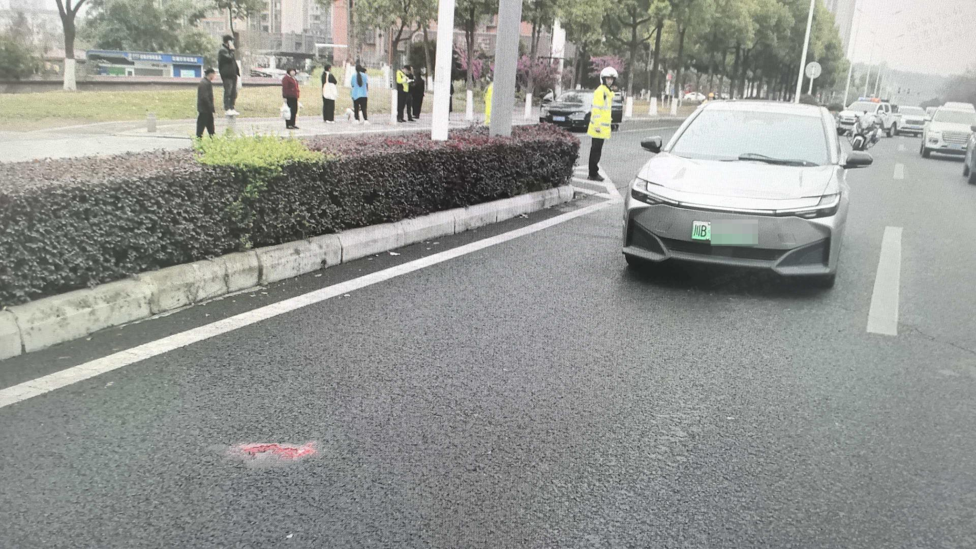 【八旬老人牵狗横过马路，被汽车撞后抢救无效身亡 交警：双方承担同等责任】#老人牵