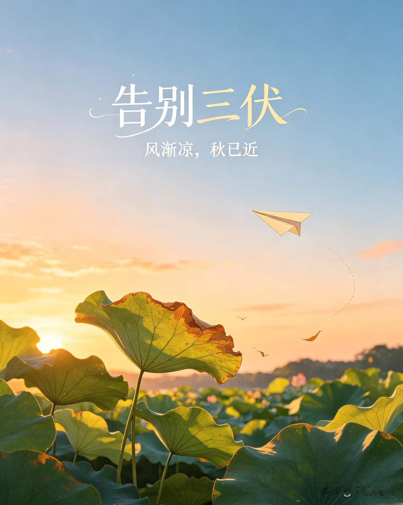 原创诗·出伏

昨夜又一场秋雨
悄悄入梦来
清晨依然淅淅沥沥
它是来告别的
告别