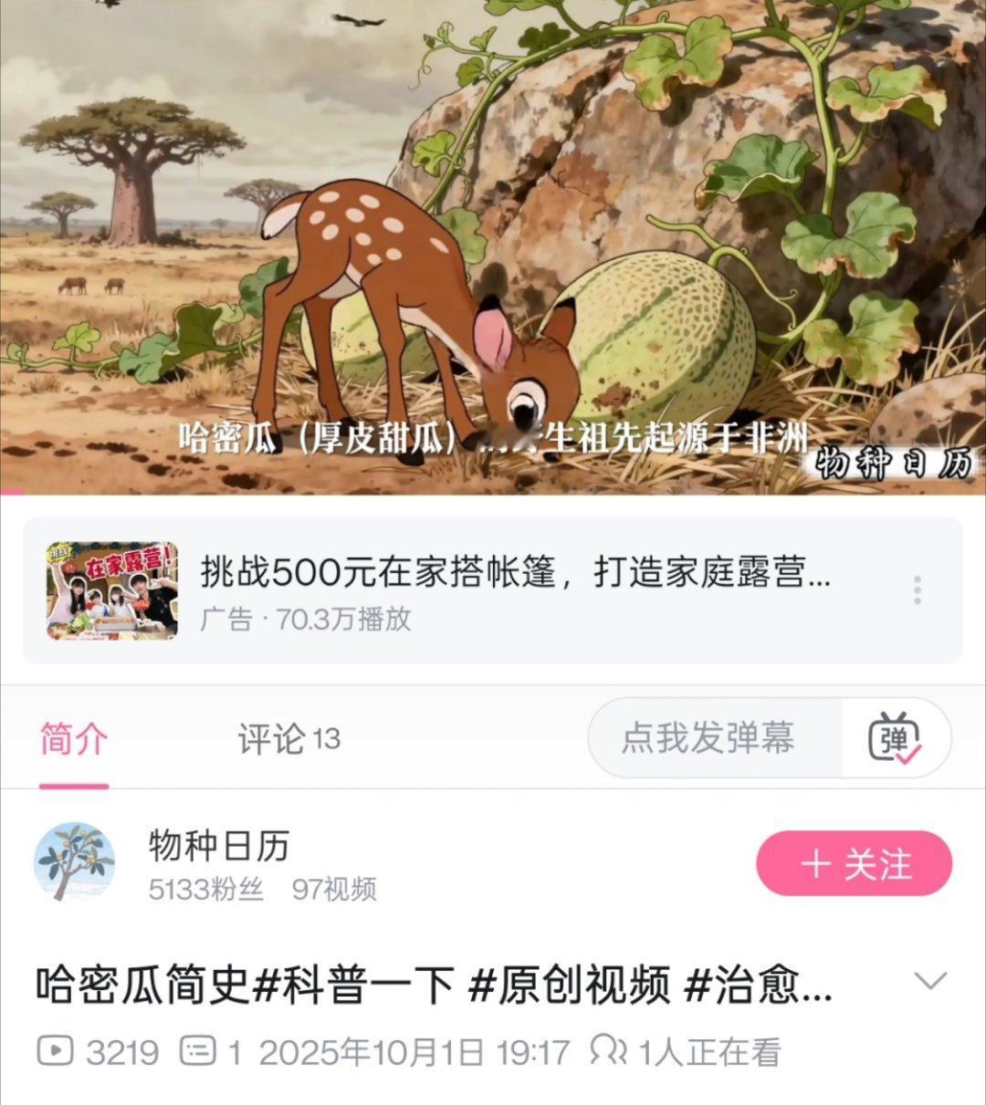 ☞你说哈密瓜啊🍈，这我可太了解了[流鼻血] ​​​