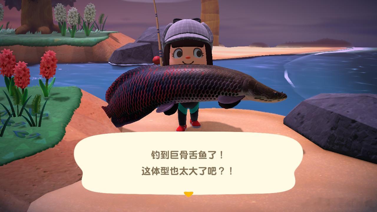 最近的动森小日常 