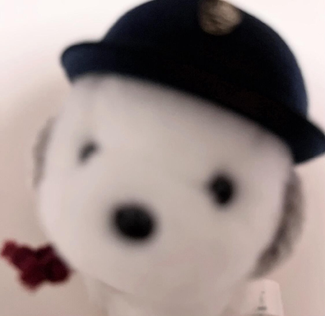 这怎么有人在这里蹲点啊我等黑蛋啊 ​​​