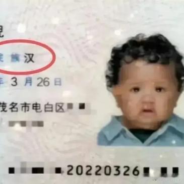 关于黑人加入中国国籍归属为“汉族”的问题，我们应该明确表示，这种做法不仅缺乏严谨