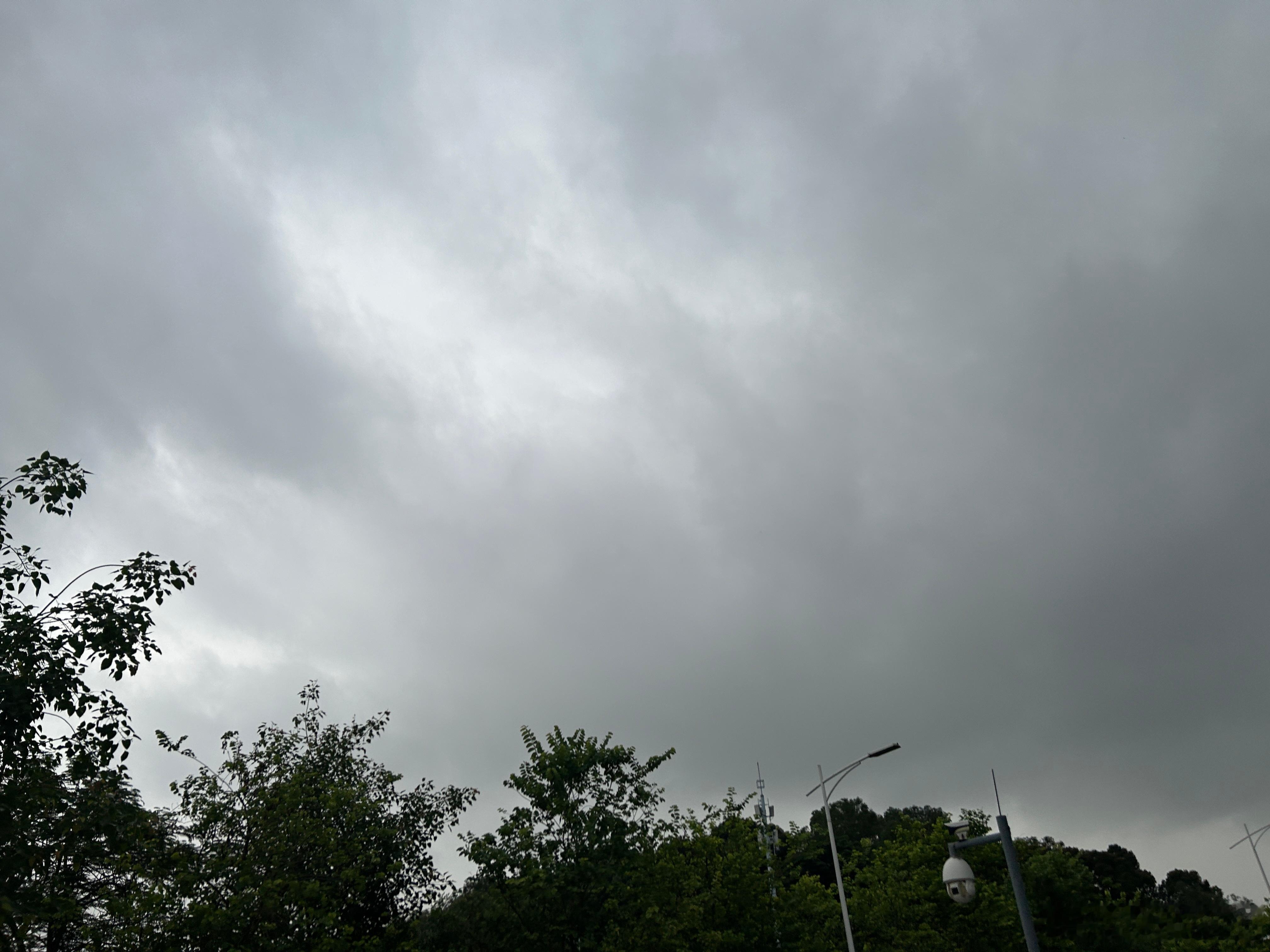 阴雨天(之前拍的)豿豿