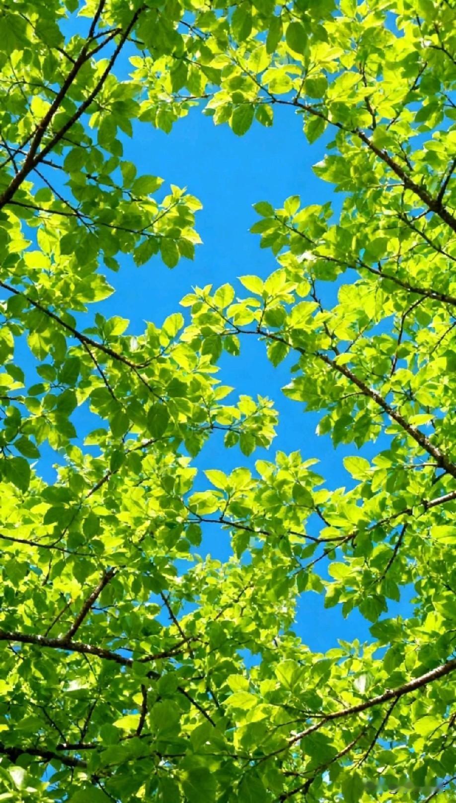 孩子没什么焦虑的，一共就两个选择：要么费钱，要么废妈，
两个都不想，那就只能靠运