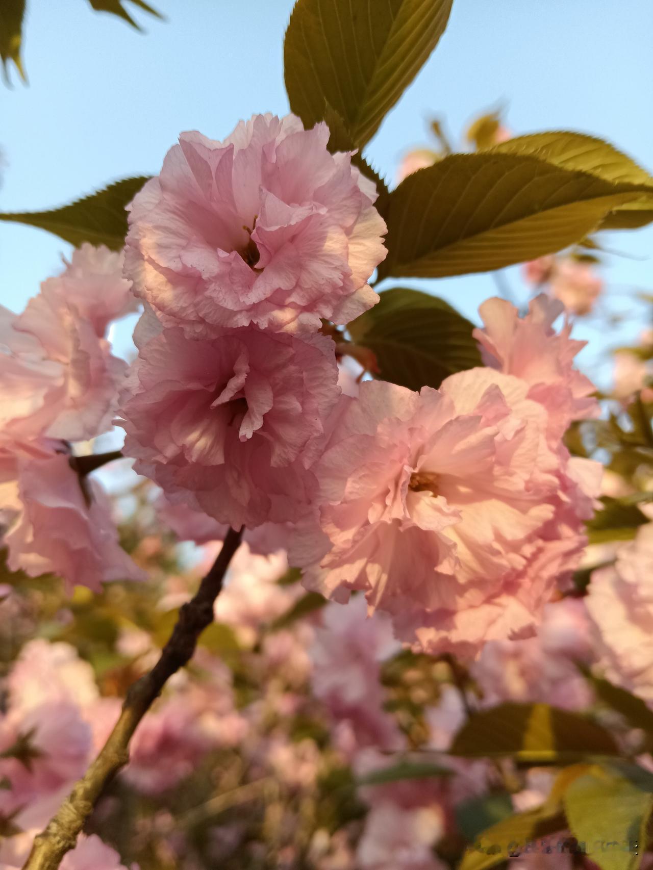 难以解释的玄学规律，务必牢记
1.晚上，切勿在十字路口等人。
2.常穿红色内衣，