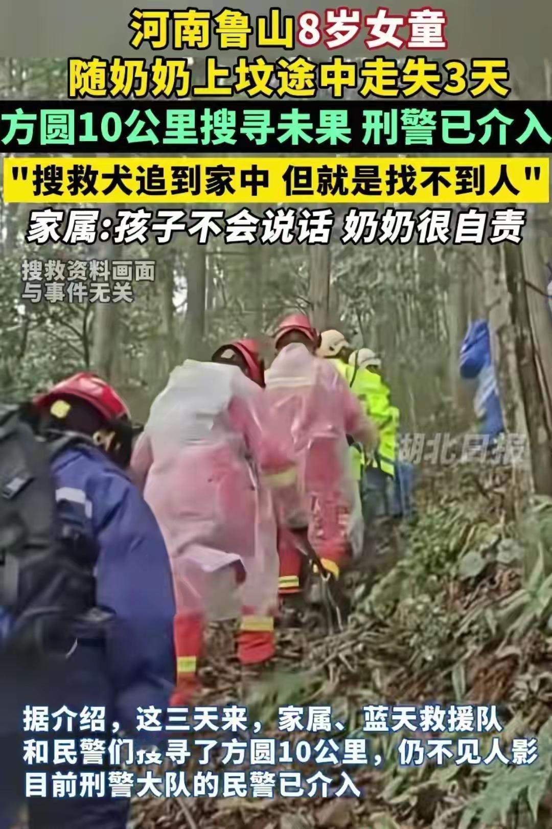 河南鲁山发生件揪心事。上周四傍晚，个奶奶带八岁孙女去野坟上坟，回来时路过袁寨村临