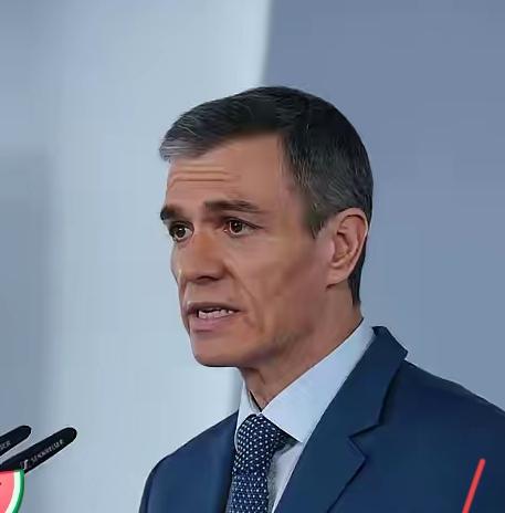 西班牙这回真硬气！桑切斯怒怼以色列：别以为没人敢治你
 
西班牙首相桑切斯这次是