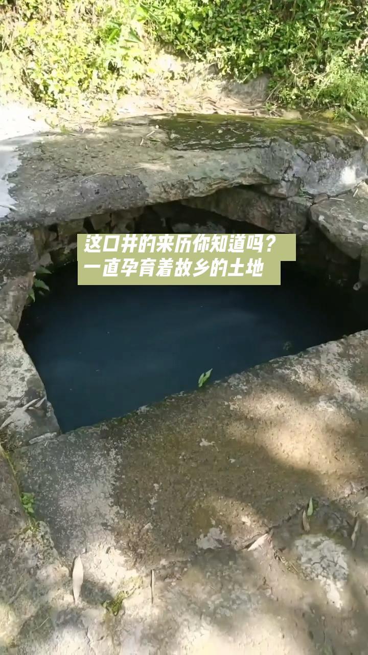 铜锣井：四兴村的生命之泉
在桐梓县新站镇四兴村，有一口远近闻名的水井——铜锣井。