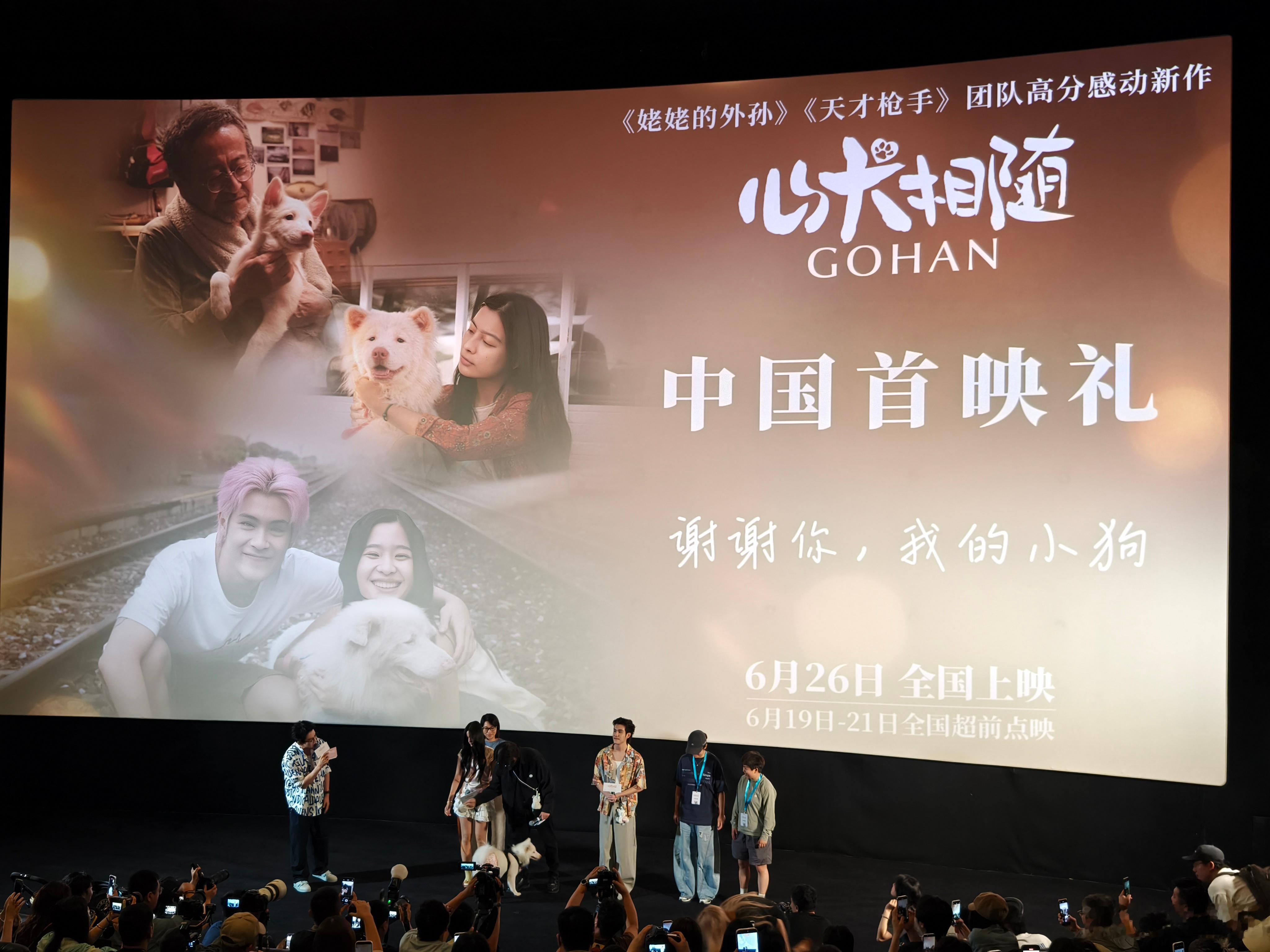 心犬相随（2026） 我的评分：电影心犬相随 显然是近些年对人宠情感挖掘最丰富的