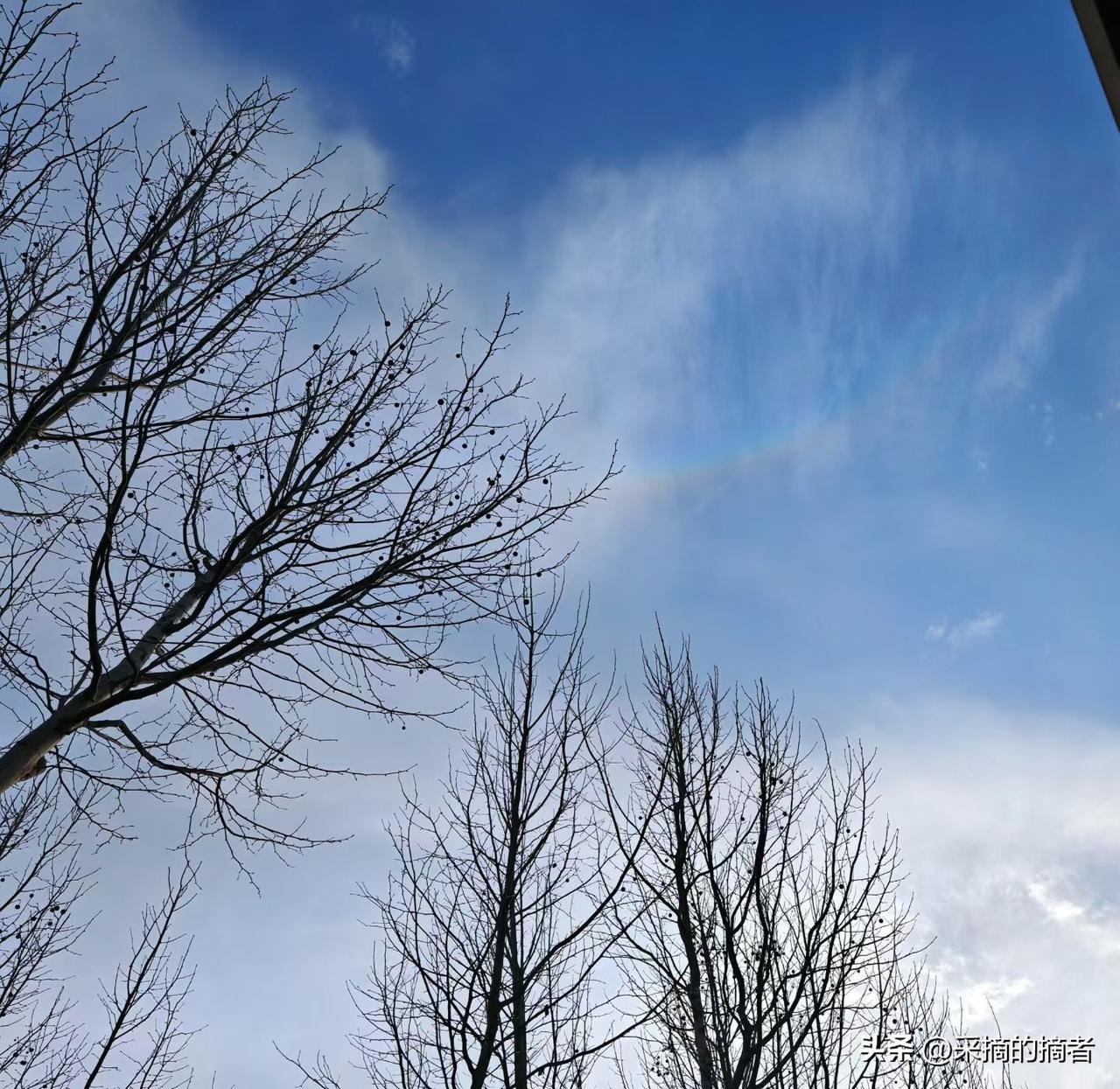 妈妈，你怎么不开心呀？
因为我的开心细胞，全被你给熬没啦。每天跟你斗智斗勇，哄你