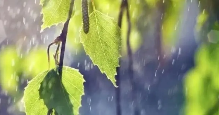 降幅8℃！贵阳预计这个时候降温降雨……